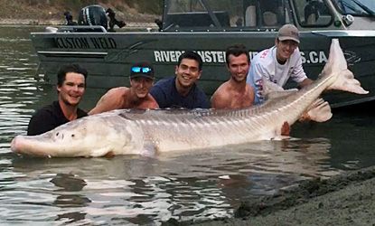RIVER MONSTER ADVENTURES  BC Sturgeon Fishing Tours In Fraser River Canyon